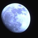 럭키메디칼 이미지