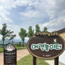 요천생태습지공원 애견놀이터 이미지
