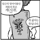 케이크 프로젝트 이미지