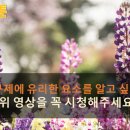 DK행정사 이미지