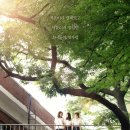 ㈜아이아스엔터테인먼트 네이버블로그