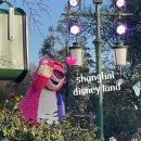 핫!Dog | 상하이 디즈니랜드 설날, DPA 구매 후기, 더 알차게 즐기는 꿀팁까지