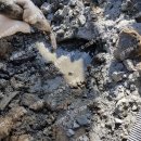 자유무역로 이미지