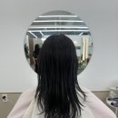 더 이쁜 멍살롱 | 둔산동미용실 디앤온헤어살롱 중단발파마 빌드펌