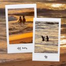 케니지레스토랑 | 한 눈에 보는 뮤직~~2025년8월20일