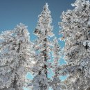 허&리병원 이미지