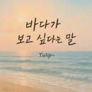 바다 이미지