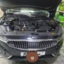 오토오아시스율하