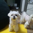 세나농장 이미지