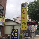 미락정장어 이미지