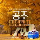 펫츠마트 | [피치와 함께] 봄이 다와서 쓰는 늦은 펫츠고 공주댕댕캠프 1박2일 후기🧡 | 공주 강아지 산책 추천장소