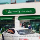 로즈마리플라워 이미지