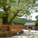 순창할머니청국장 | 부안 내소사 여행 전나무숲길 변산반도 국립공원 가볼만한곳