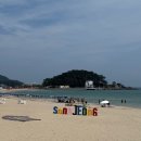 부산송정로뎀나무 | [부산 감성 숙소 추천] 부산 송정해수욕장 근처 에어비앤비, 감성숙소 추천 및 후기 🏠🪹🪴