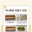 공기정화 스칸디아모스 만들기 | 공기정화 천연 이끼 ㅣ 스칸디아모스 화분 만들기