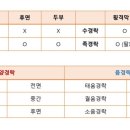 유주테라피