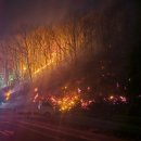 의성(청주) 이미지