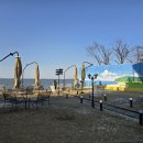 코브나인 이미지