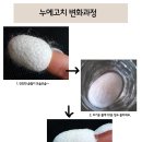 동안미인 이미지