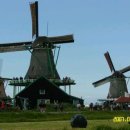 초록마을민박 이미지