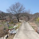 가람부동산중개 티스토리