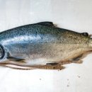 생선마트 네이버블로그