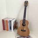 우쿨렐레(주말) 이미지