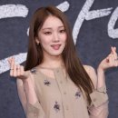 백조세탁소 네이버블로그