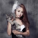 세컨드데일리 이미지