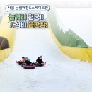 구민어린이집 | 서울 과기대 눈썰매장 노원 스케이트장 개장 후기