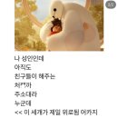 습한 제주에서는
