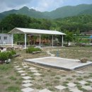 개미펜션 이미지