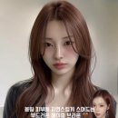웜헤이즐