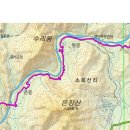 운천전통시장 이미지