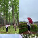 송천발전소 이미지