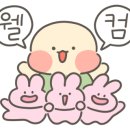 인포룸 네이버블로그