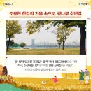 ‘한강’ 산책 이미지