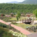 평림댐장미공원 이미지