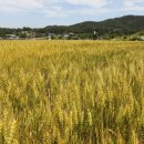 국제제과(주) 이미지
