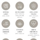 비타민치유랜드