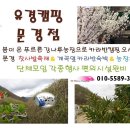 유경캠핑 문경점서 오미자농장체험 카라반캠핑도즐기고 문경대표축제 찻사발축제도즐기세요.미리예약하세요. 이미지