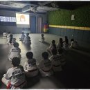 용인대 승리 태권도 이미지