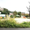 장기초등학교모포분교장 이미지