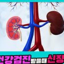 콩팥 신장 건강 관리 방법 및 콩팥에 좋은 음식 이미지