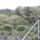 야산농장 이미지