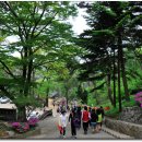 성지중학교 이미지