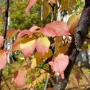 관악구 구민회관 1층 강당 이미지