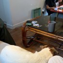 테리하우스 이미지