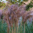 풍경 조형물 이미지