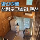[양산여행] 배내골 청림오크밸리 펜션 추천/ 추가요금 가격 및 계곡 수영장 숙소 후기
